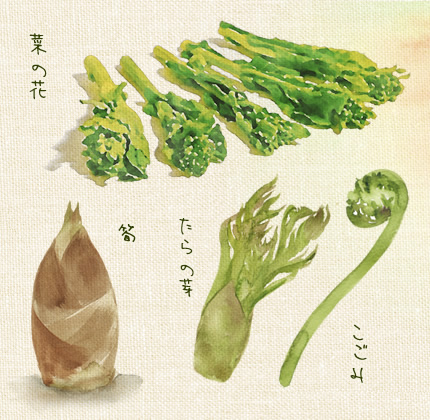 厳選 風景館 夏の旬素材