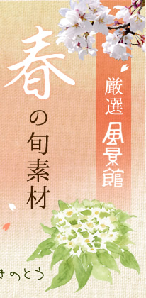 厳選 風景館 夏の旬素材