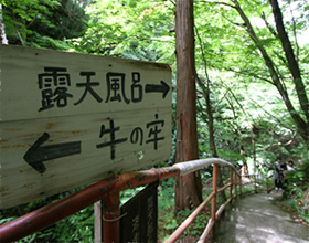 途中、散策路への別れ道
