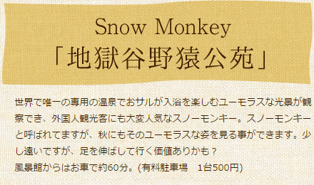 Snow Monkey　「地獄谷野園公苑」