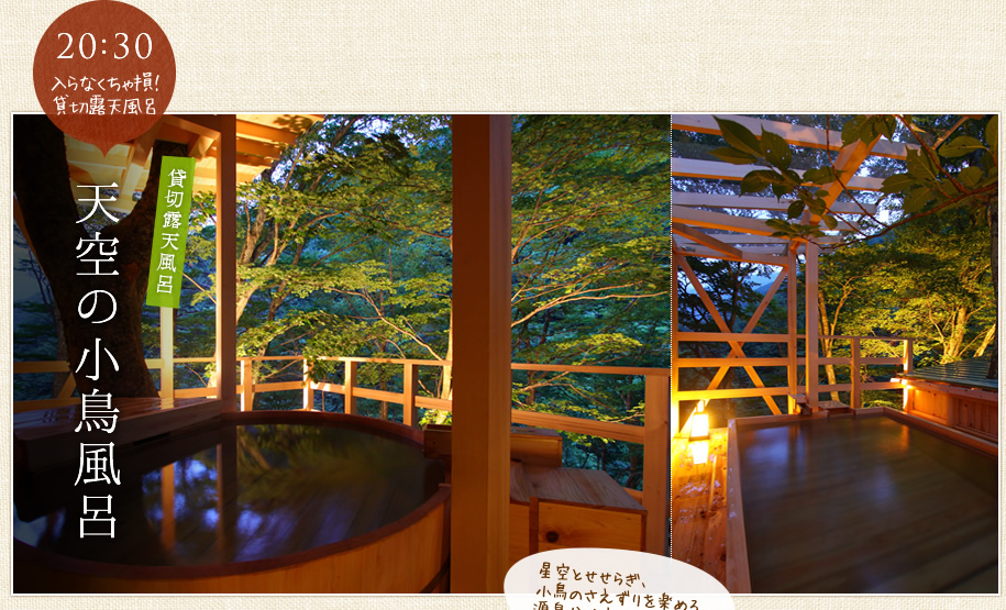 天空の小鳥風呂