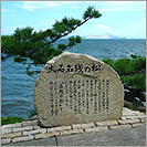 大石名残の松