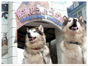 那須どうぶつ王国
