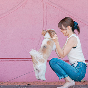 DOG FRIENDLY｜愛犬と一緒に