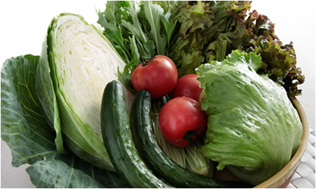 地産地消のフレッシュ野菜