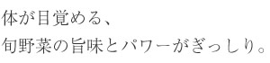体が目覚める、旬野菜の旨味とパワーがぎっしり。