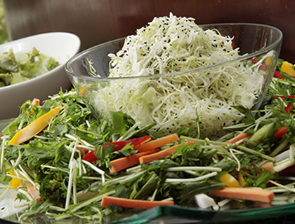 東京の野菜、下町の味。