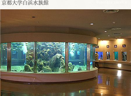 京都大学白浜水族館