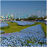 海の中道海浜公園