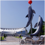 マリンワールド海の中道