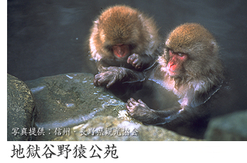 地獄谷野猿公苑