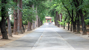 恵林寺への田舎道を歩こう